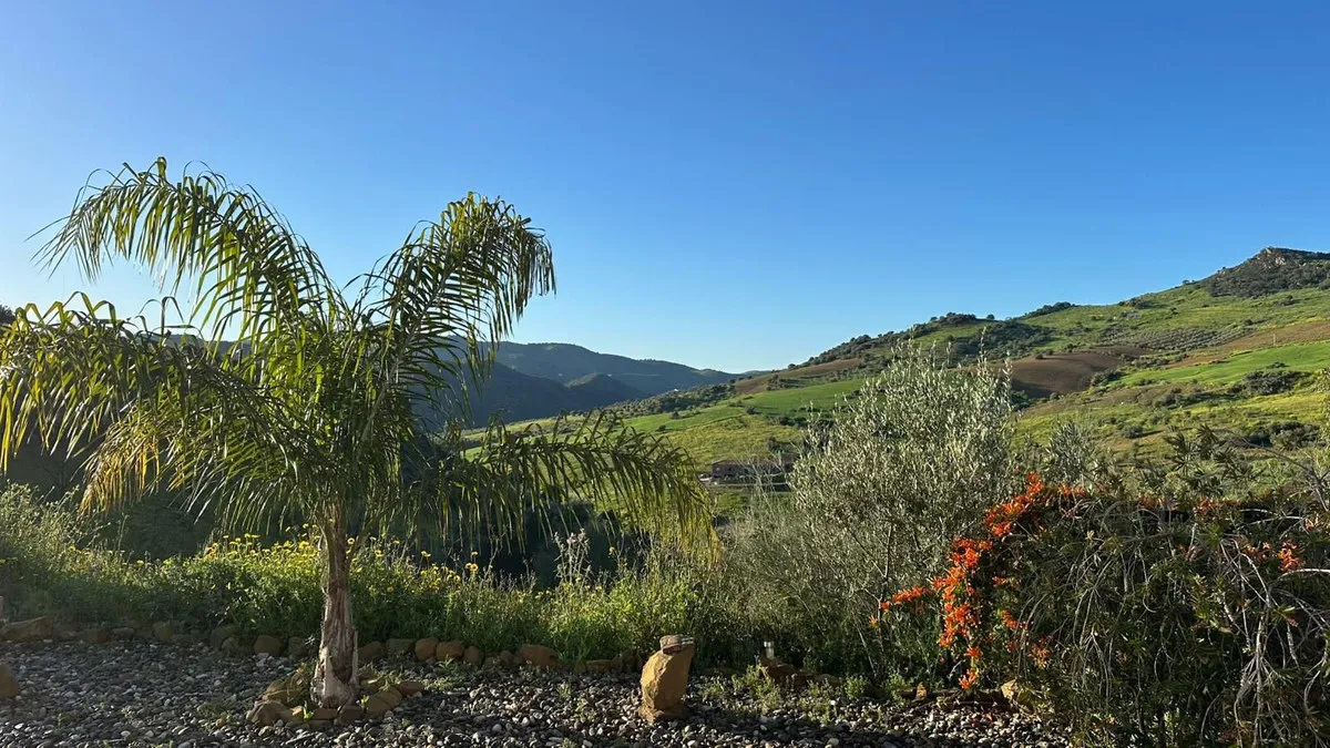 e5b6d830-b3de-4268-bd4b-4d8e26087b02