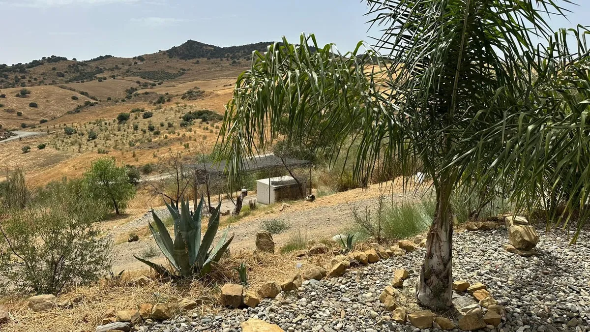 f547d969-0358-43f4-ad8a-cfc2e7444a59