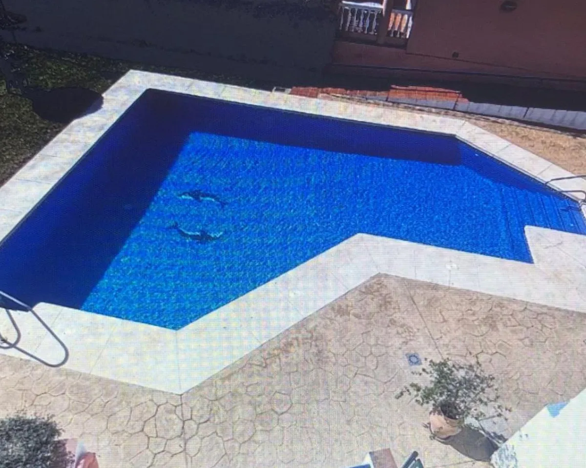 9cecc991-0629-437a-ad4e-efd2cabc7012