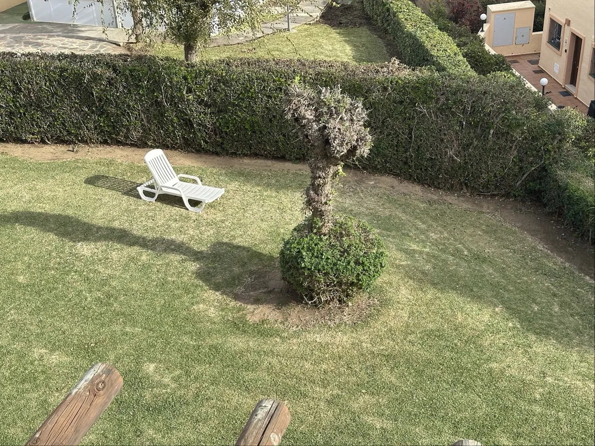 4860acef-3629-4c61-8302-1f13dee96732