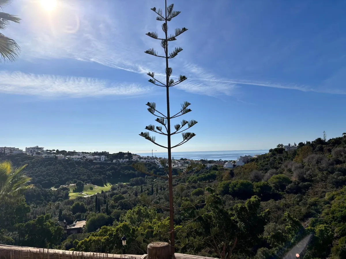 b5c83748-9b11-44e2-9819-c7084f89b4b8