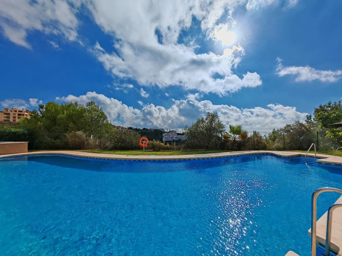 8c323fbb-e64f-43f1-8fae-650f290c34f5