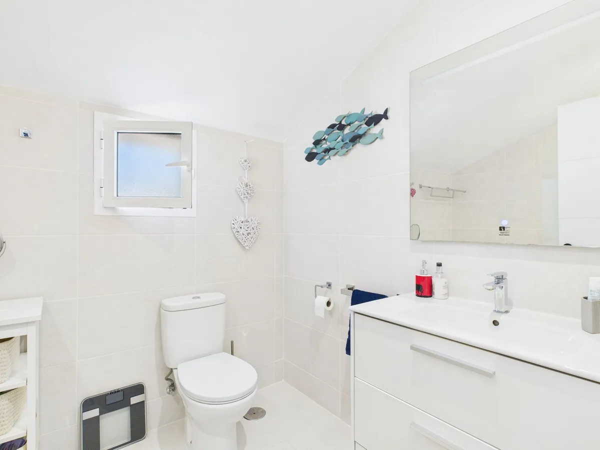 91c5c5f2-29e0-4197-a9d2-50827ea5e597