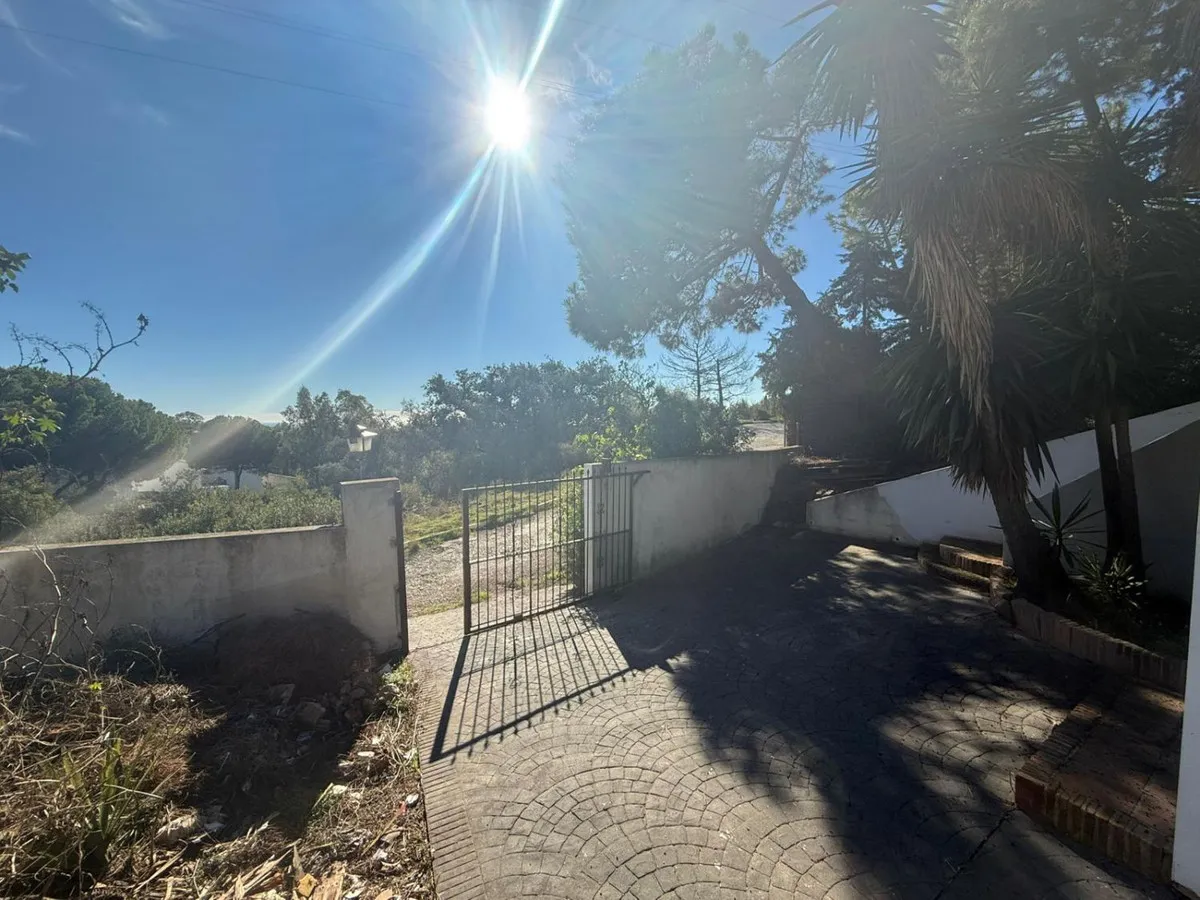 d583a9f9-055a-4cd8-9f56-0c427ae5b748