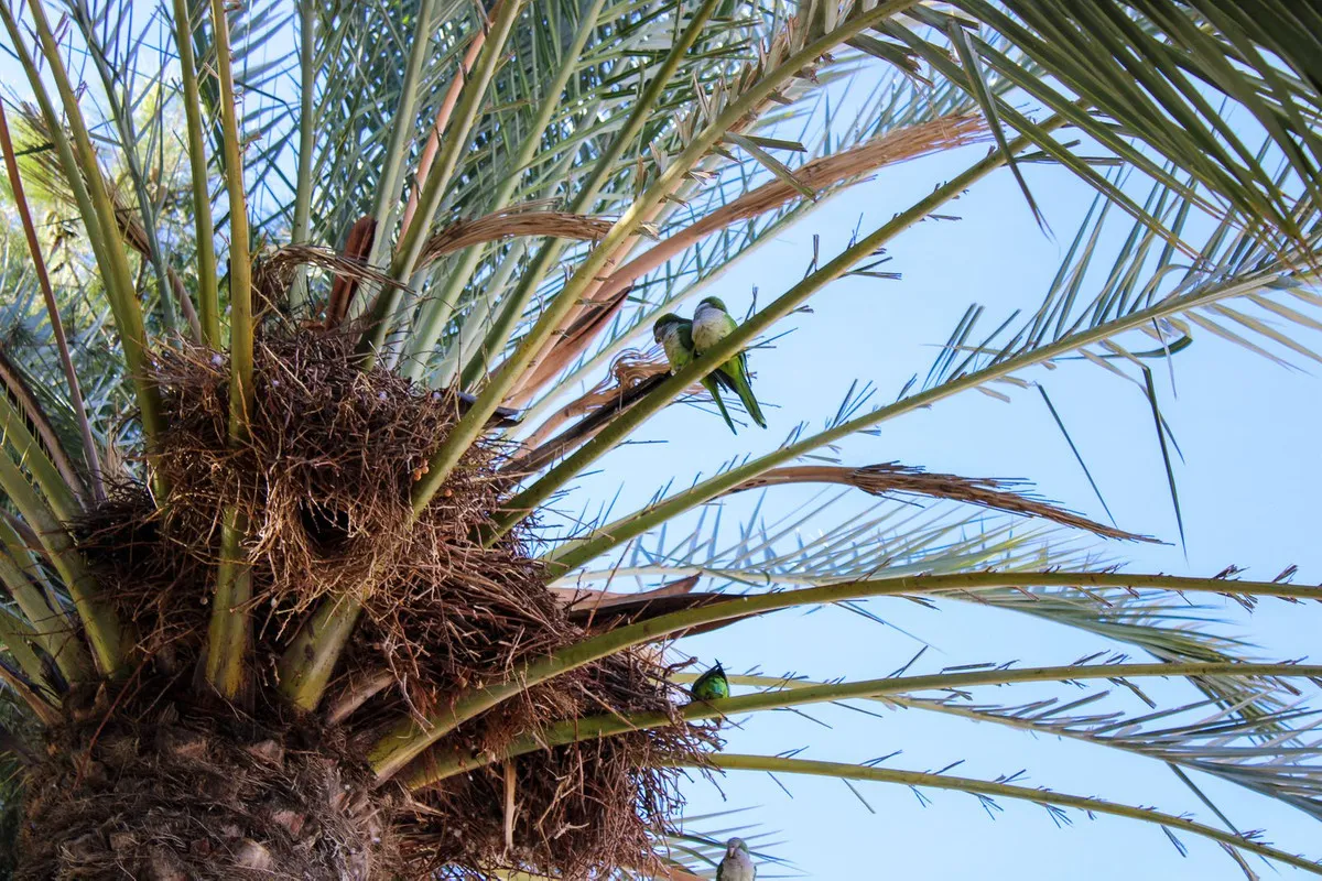 6b84810c-a776-478a-891b-f31ad67bb657