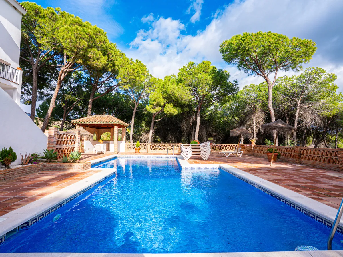 025a5843-edef-4e81-ad1e-b2450ca94a6d