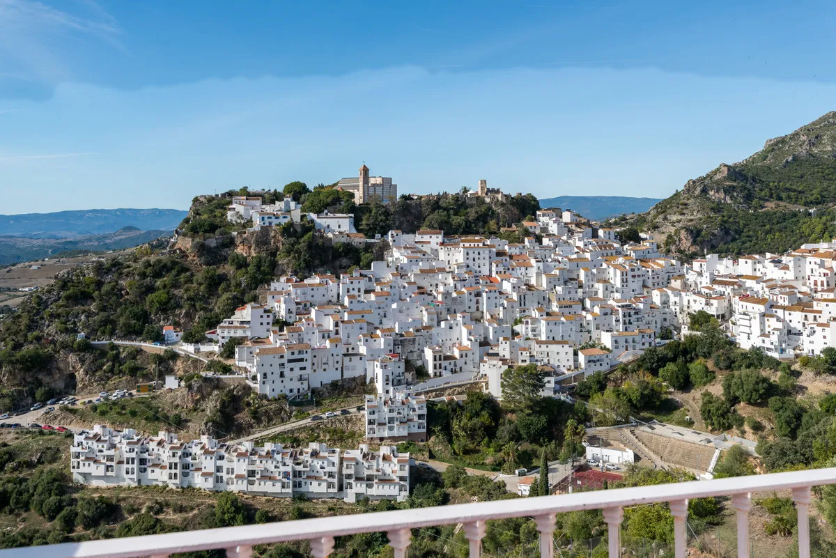 1ce0757c-d1ff-4e08-a4d3-8b022dbcf2ff