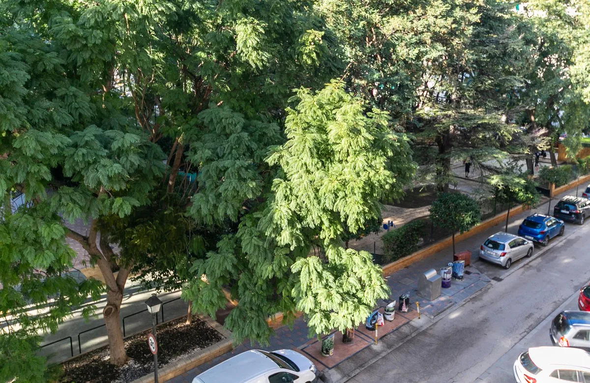 d1ddad70-ce0f-4179-9bc0-3afb0f58b0ef