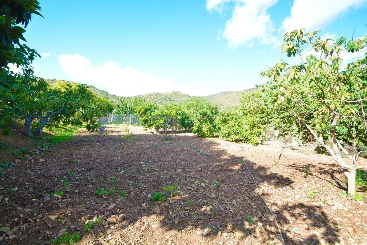 41179626-ac19-4a76-a78a-d8cd837c8780