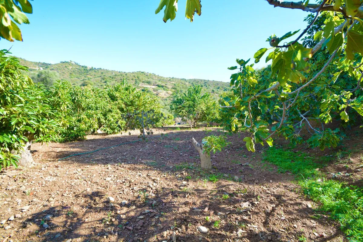 6b5511ea-3710-4967-ba94-3d39ea7909bc