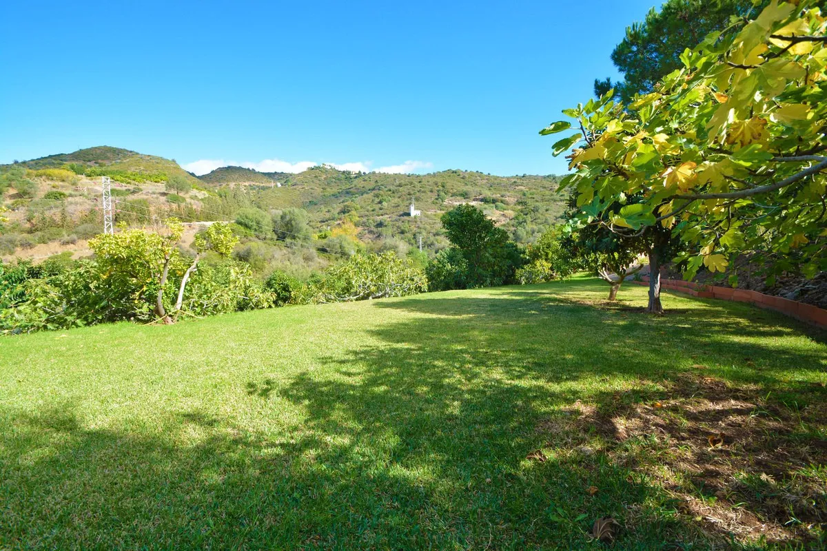 e08b5445-bc56-4af3-a817-bfe485b54e3b