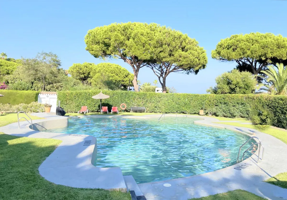 d922aca7-e6fe-44b7-a557-2cc0677374be