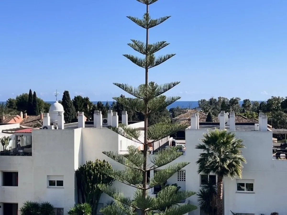 e5087ebb-09b3-4bd5-81b0-a435ceed9c1b