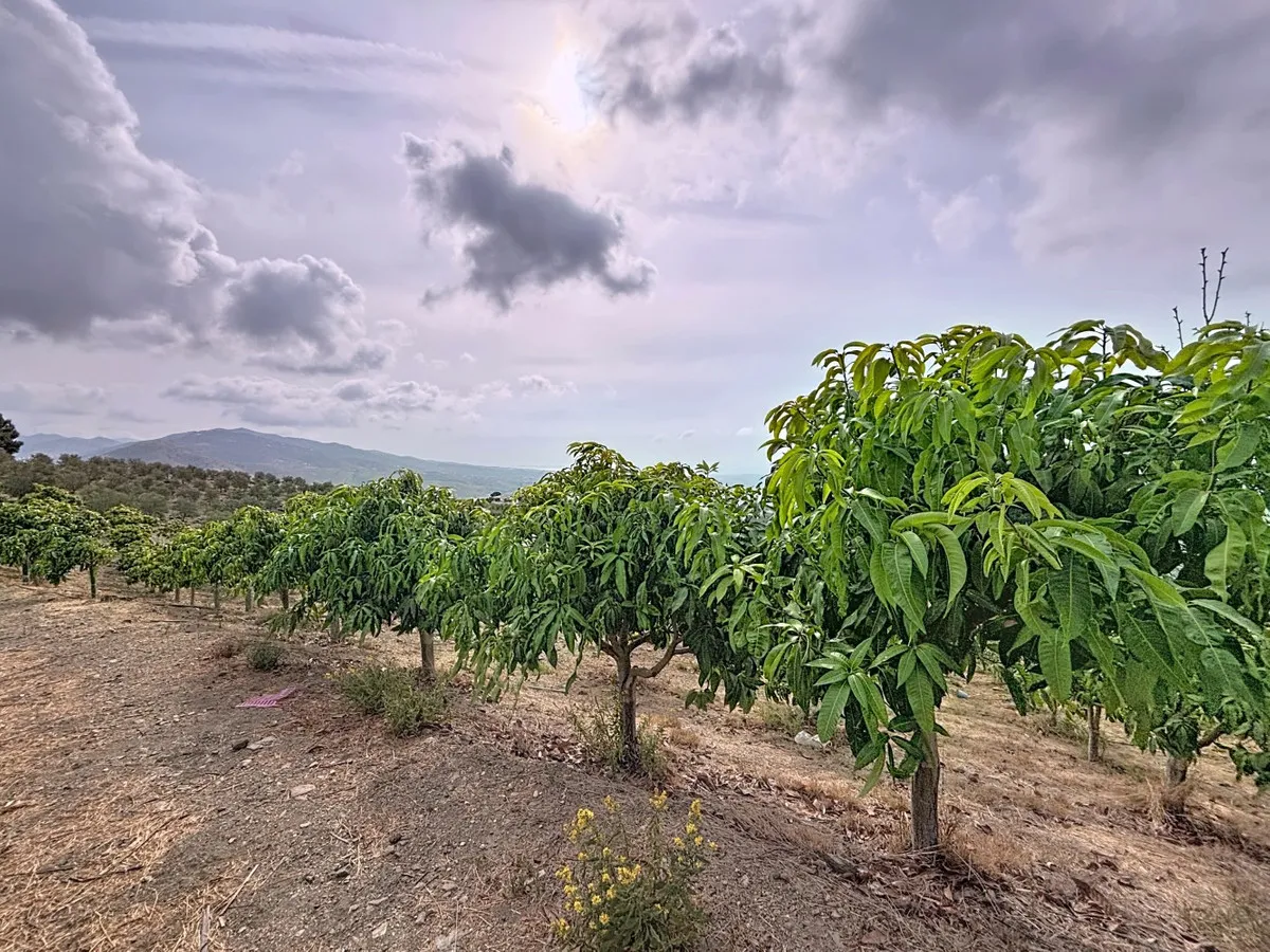 1d2ede92-52c5-459e-a4cb-2f26e1e6adf3