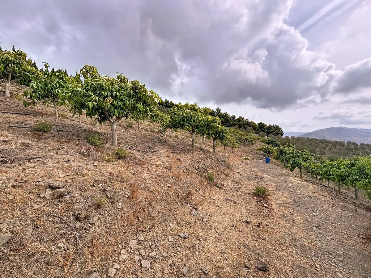 6c3b4161-d525-46e1-b61a-a4fc8cecf3c0