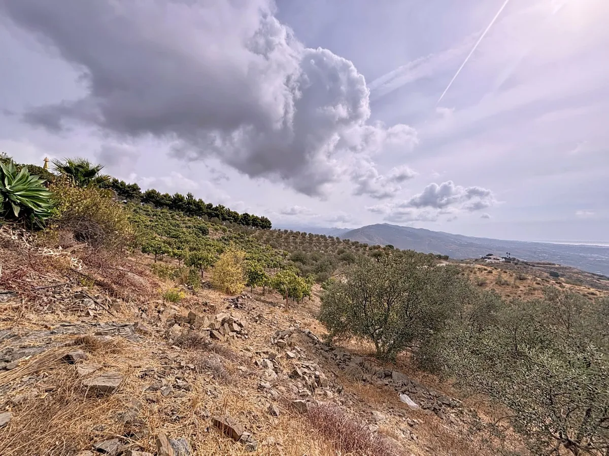 f86c3eb2-e07f-480e-a038-7af1ef92cbf5