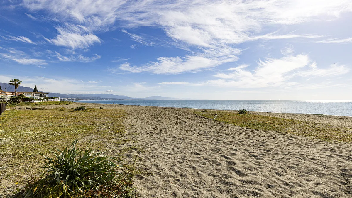 d1b36848-8e3c-470a-b104-a13329e36308