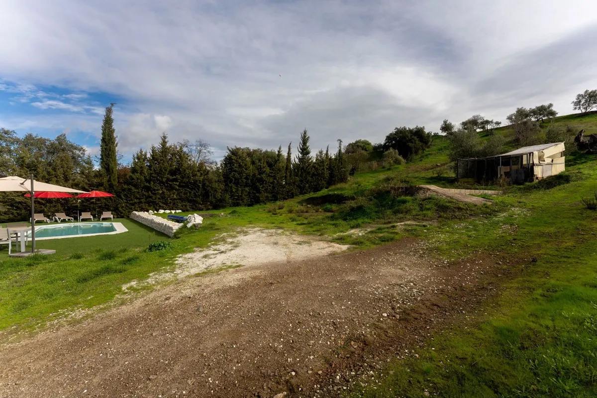 890e872b-0be2-496d-82e9-4796c5db2a06