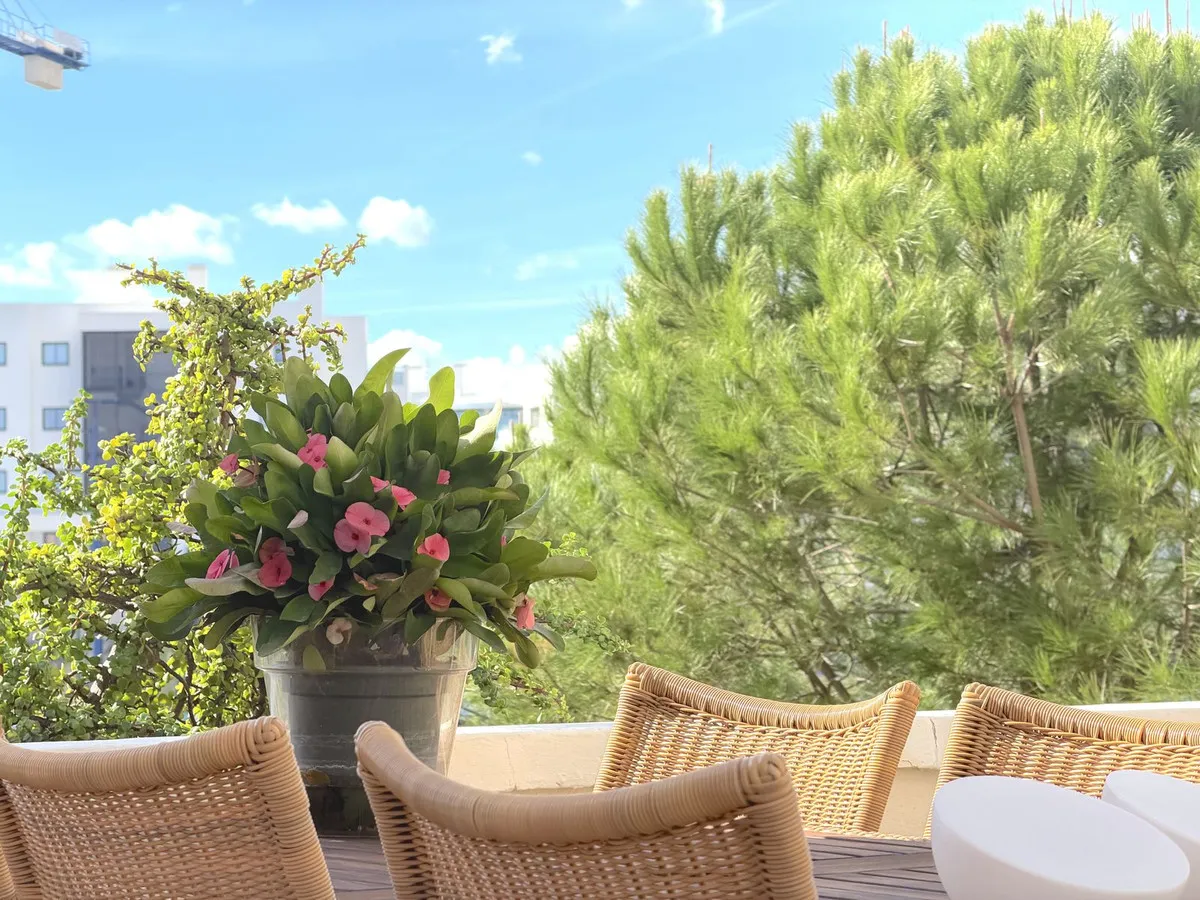 44e453ac-06b6-4cfe-927a-3e5ef9521418