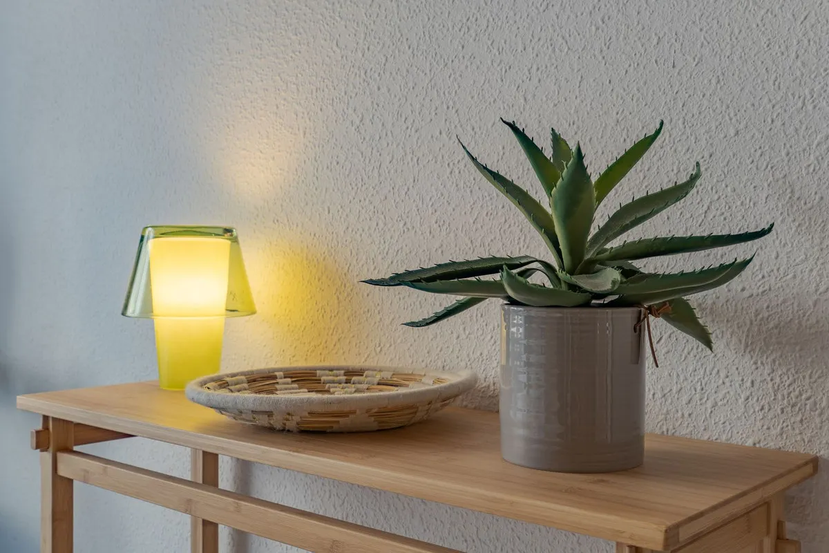 03e27711-10f7-43cb-8504-e3f3f807436c