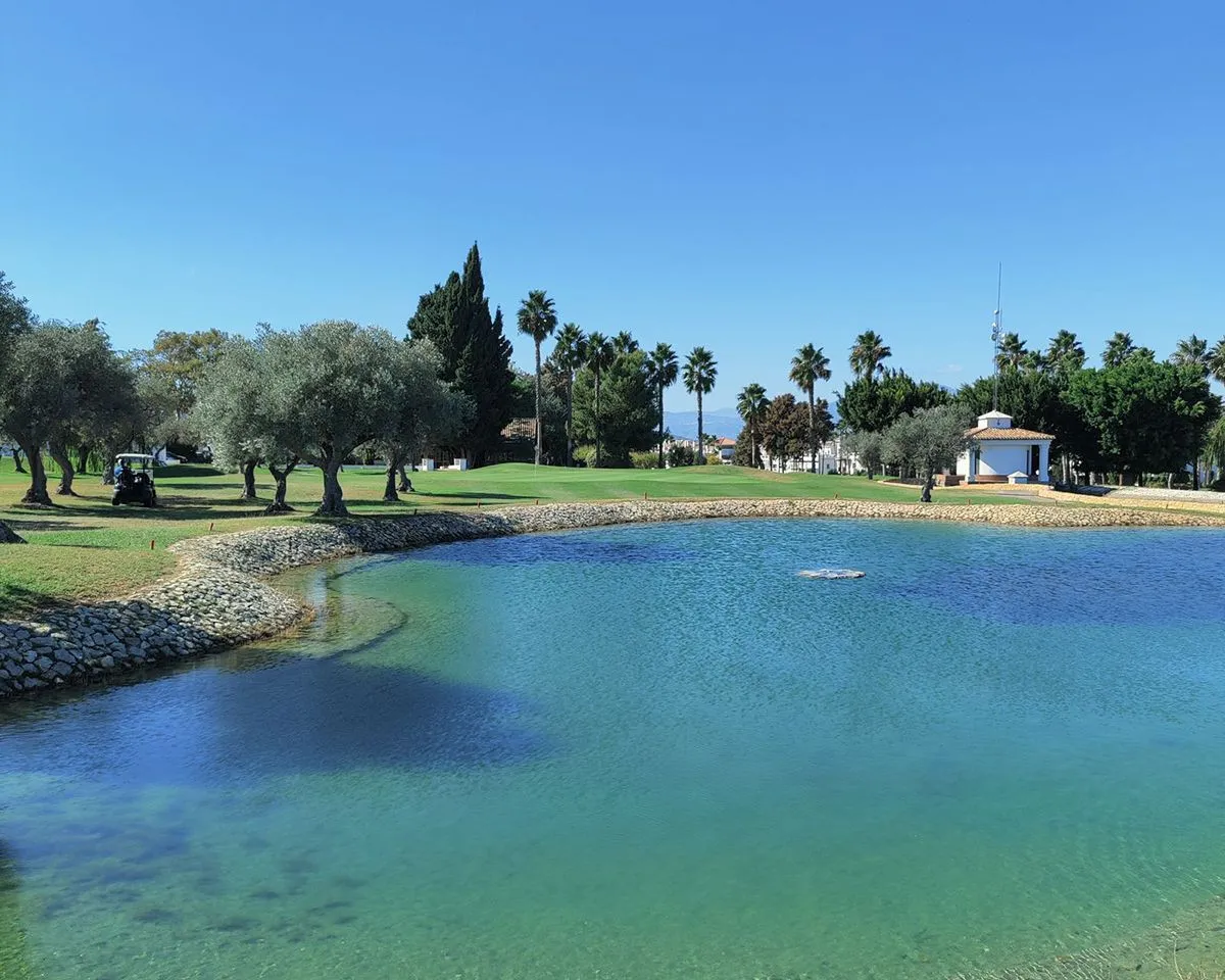 dcf21028-b697-49a5-9707-99cd1f6cd56b