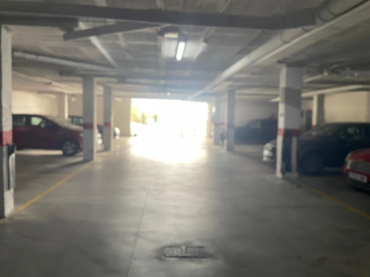 1c86539d-44c6-4c12-9958-bb823eeeca9c