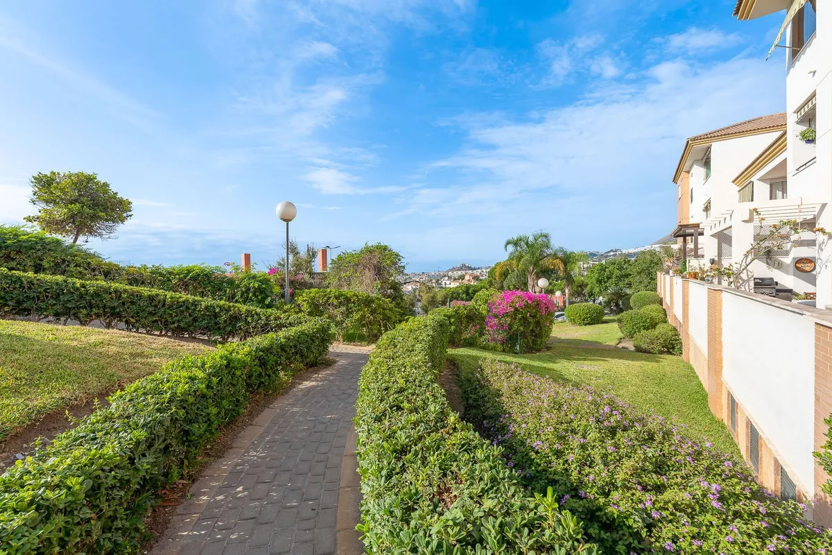 55f331cd-ae65-455a-9443-1cbec2c7a164