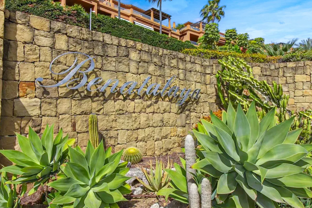 5099b3c2-a003-4175-a1a4-1649bb7f8594