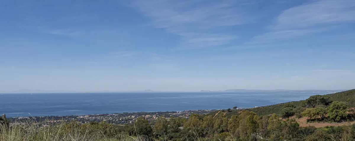 37b3ab96-0003-40d2-b22e-3a4e6aa5c5f5