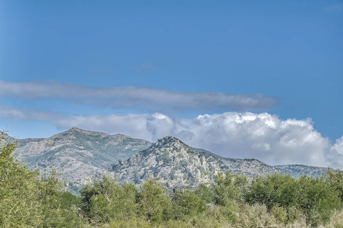 dd3cfeff-e2ec-447a-b3f1-dacec1668d7f