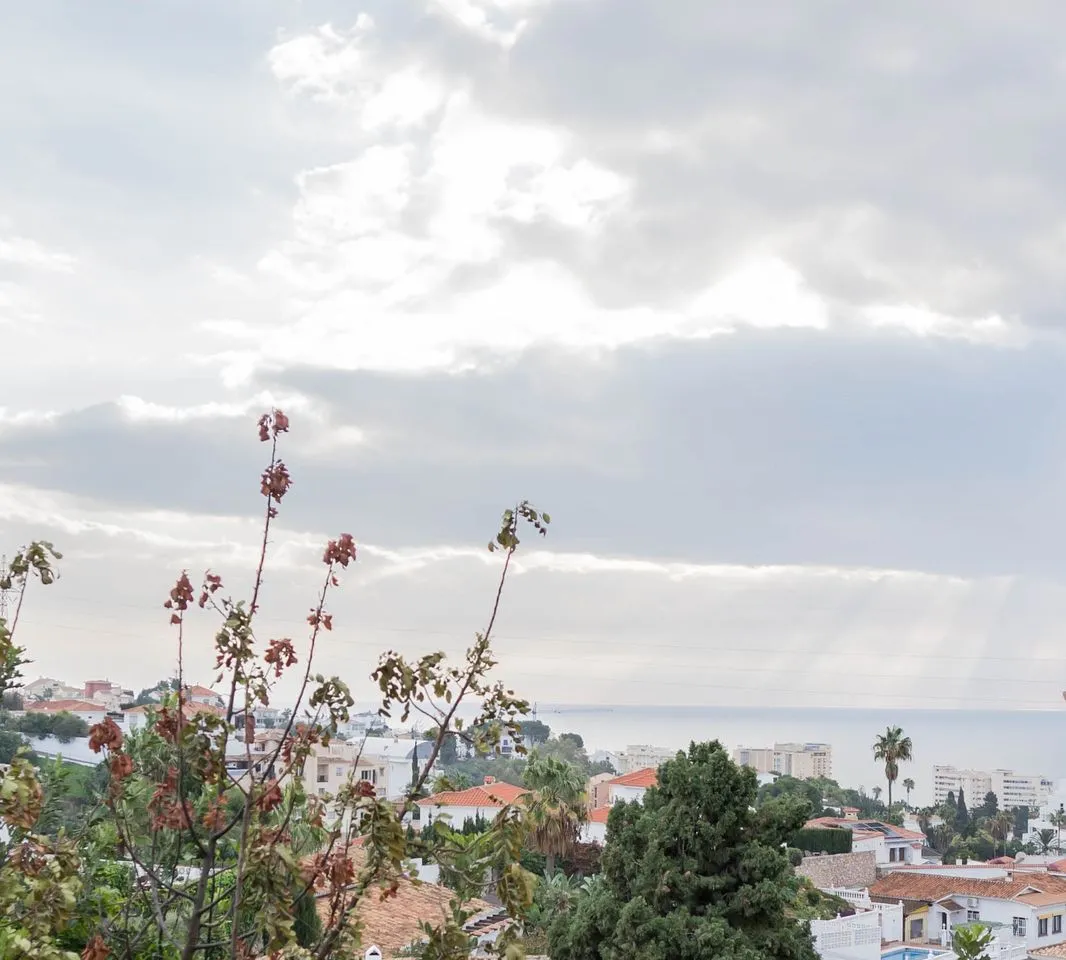 68eb53a7-e4dd-4fa4-b2d6-1f6e9ef0701c