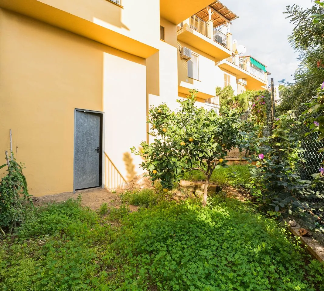 69729894-d23c-41a9-b792-b04990a54f9f