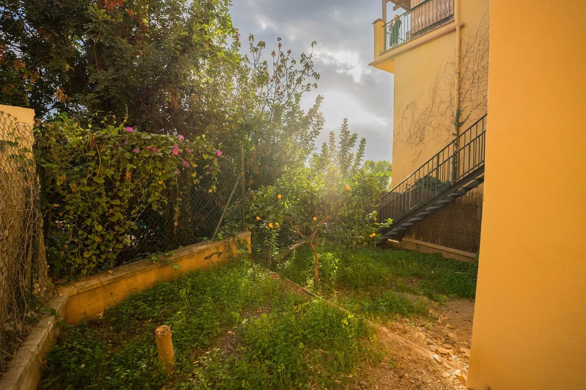 c8c0e8e9-c833-4cfd-b3c2-87a8acf0cd87