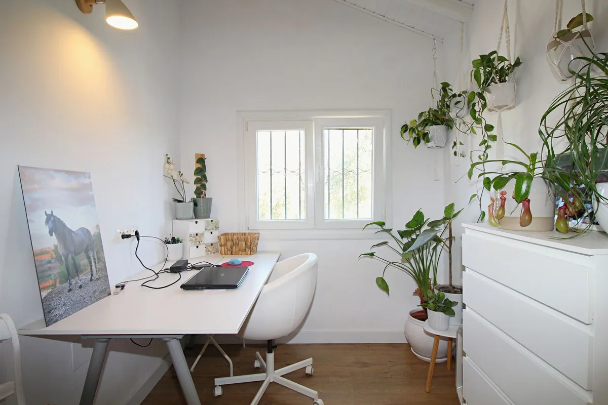 5009741c-c9ba-4ec3-9564-73cc1691cfce