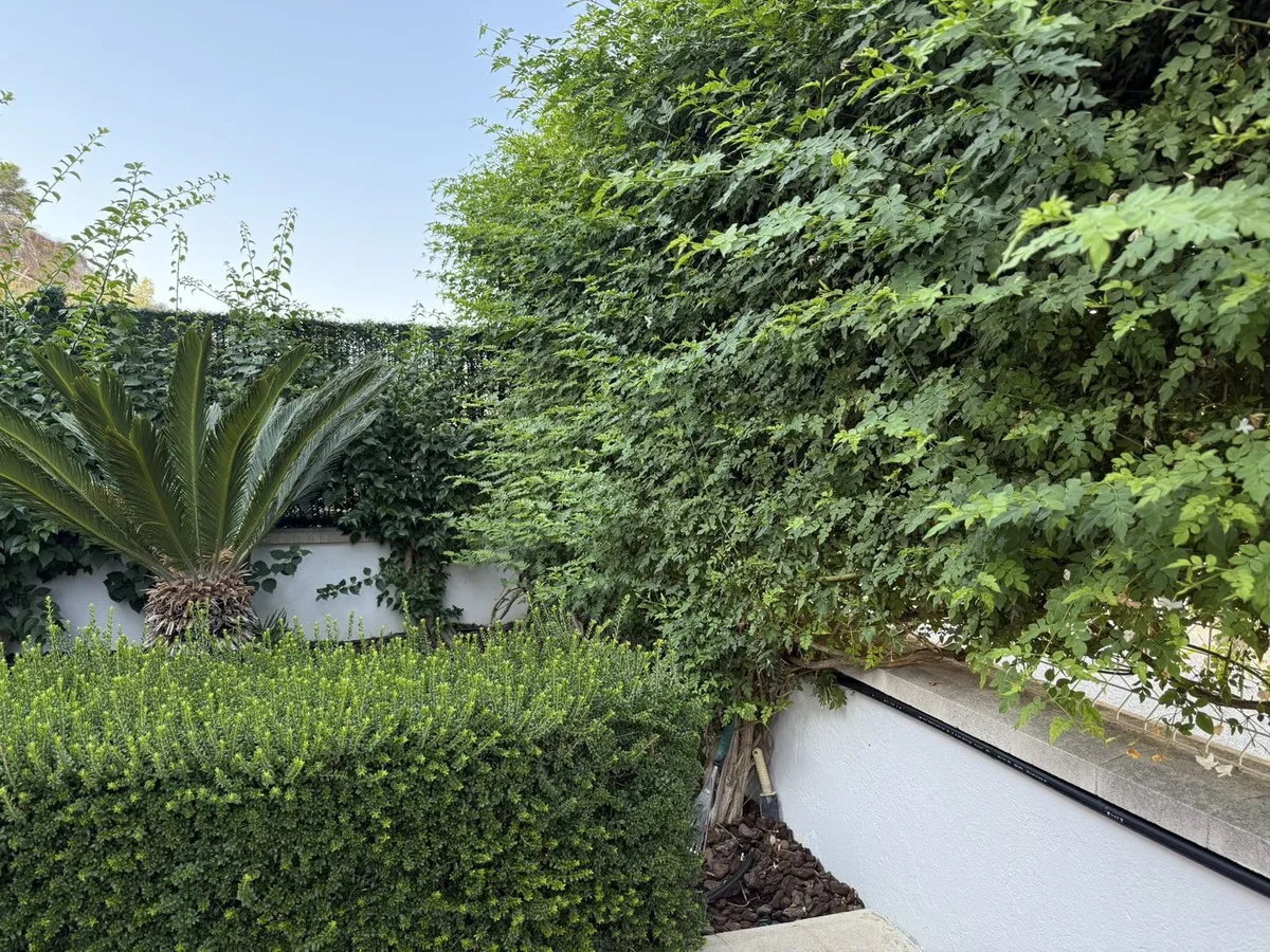 19651291-86dc-458b-929f-7a122b5f5705