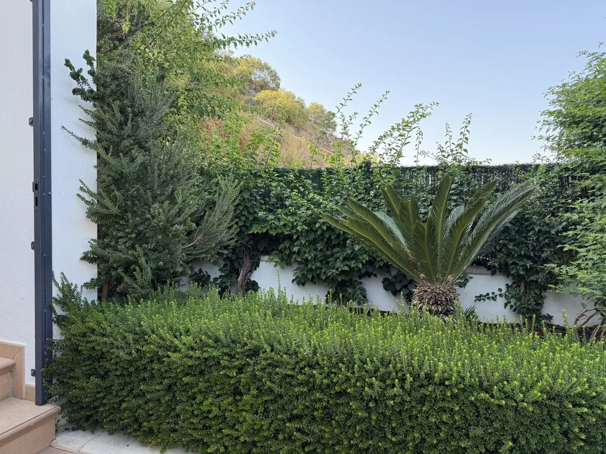 6595c900-46b2-4f57-9755-2760e7ca06ff