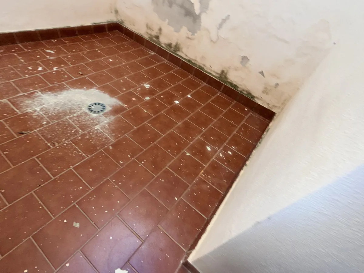 58817ab5-194d-46a4-ae18-c1e4249ed55f