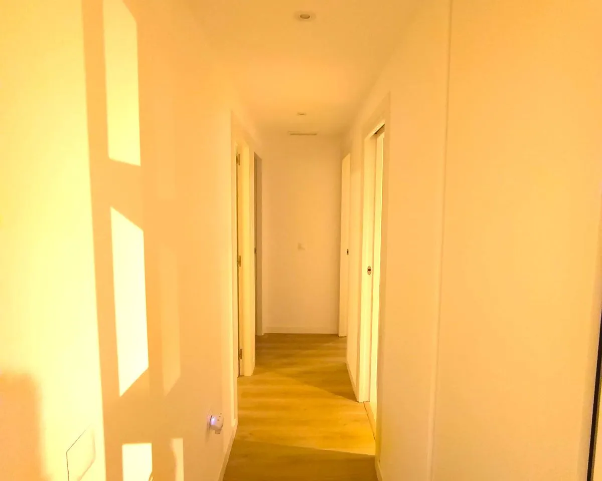 d36bebe0-0974-4d70-a83a-a7155faf7d44