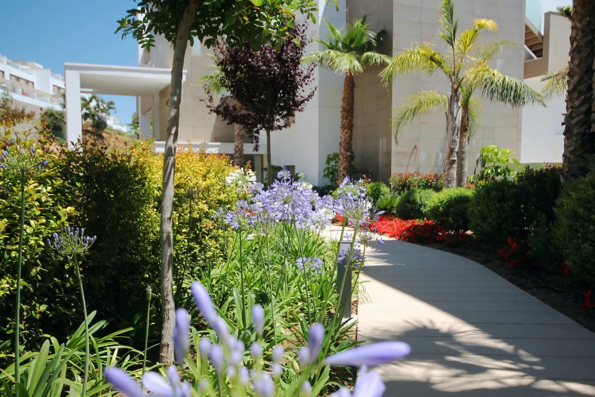 8d332b9d-171f-4079-954e-02c5bdd7af6b