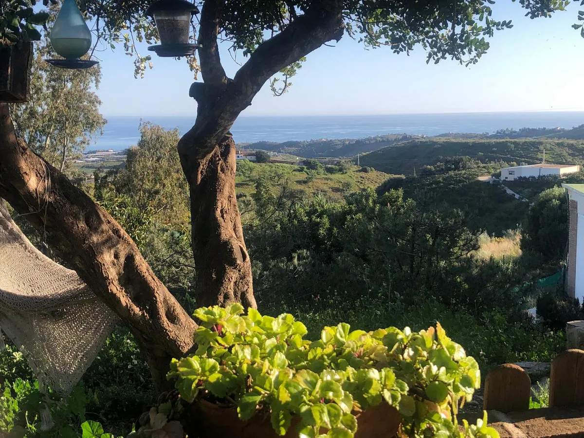 Mediterranean Retreat in Axarquía: Avocado & Mango Haven