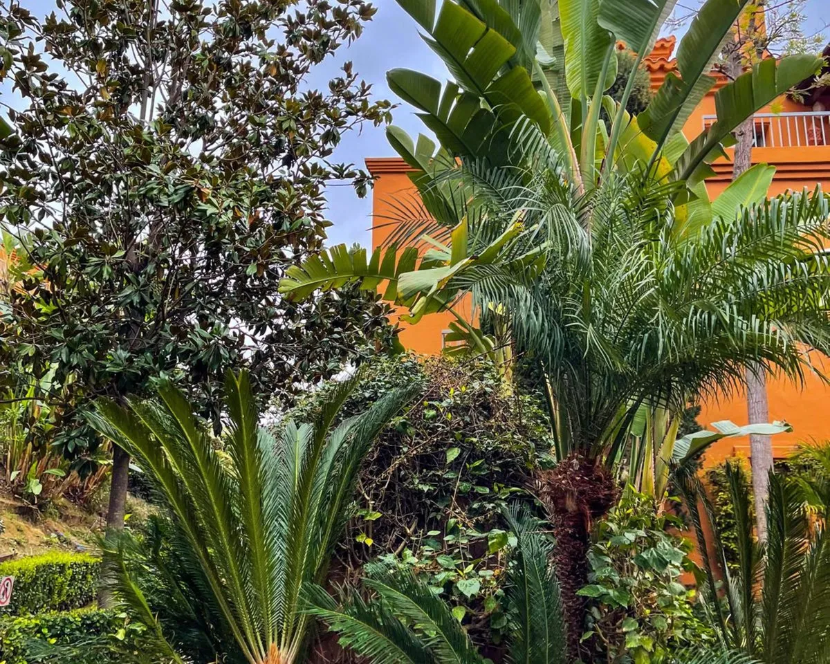 6560557e-4eaa-4fd5-9519-c3073ba79654