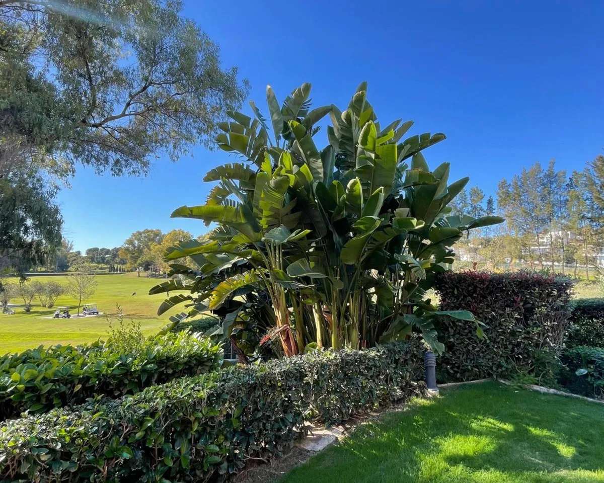 b9bdf5d0-80de-442e-827e-7c5c311ba2ca