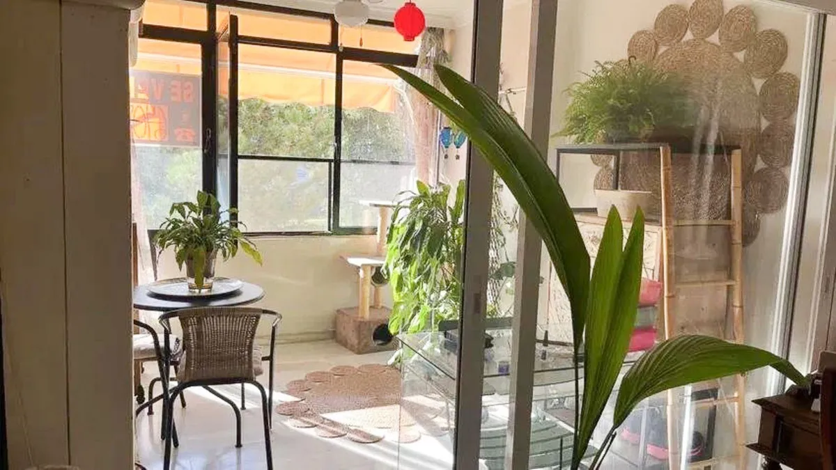 fcd41431-90de-4d4f-9d33-df1158725a6f