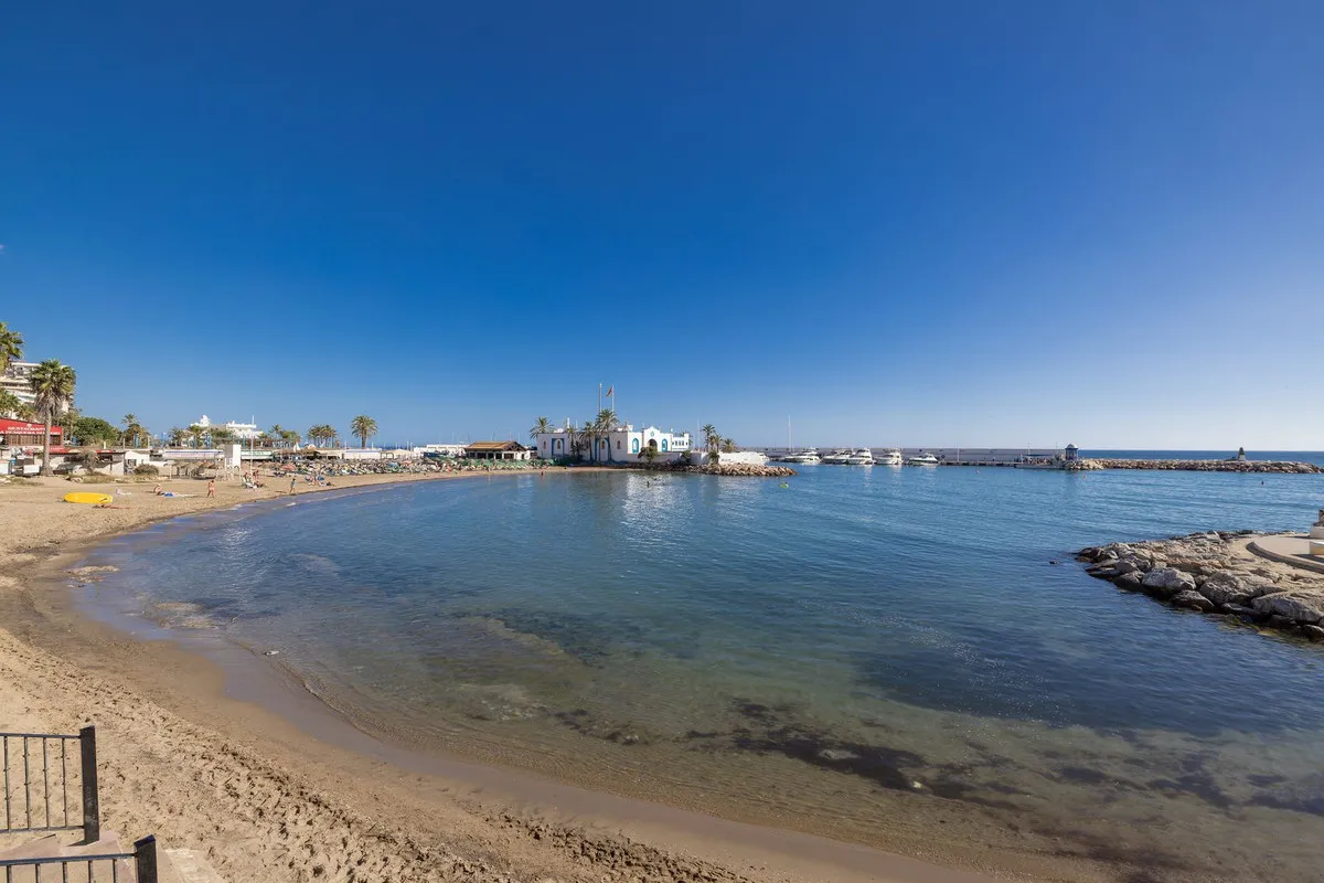 575a382d-d014-4d79-90d2-b42a7a81859b