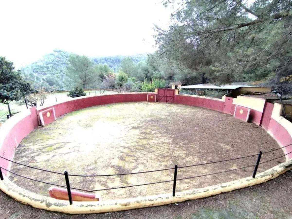 0a6ece39-7e21-4fb7-af57-e85abc2ce022