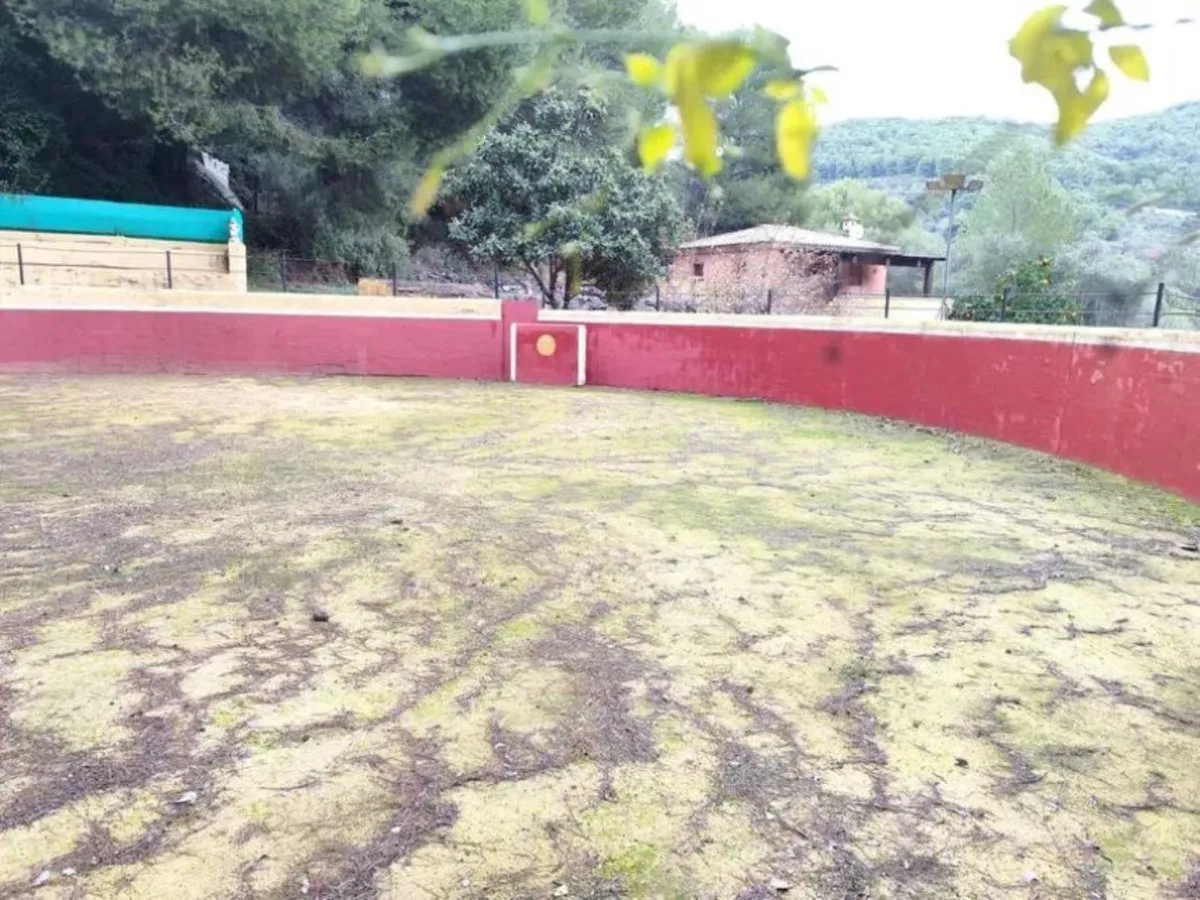 21729752-cfce-4f1f-8ebc-be09b8ef929c