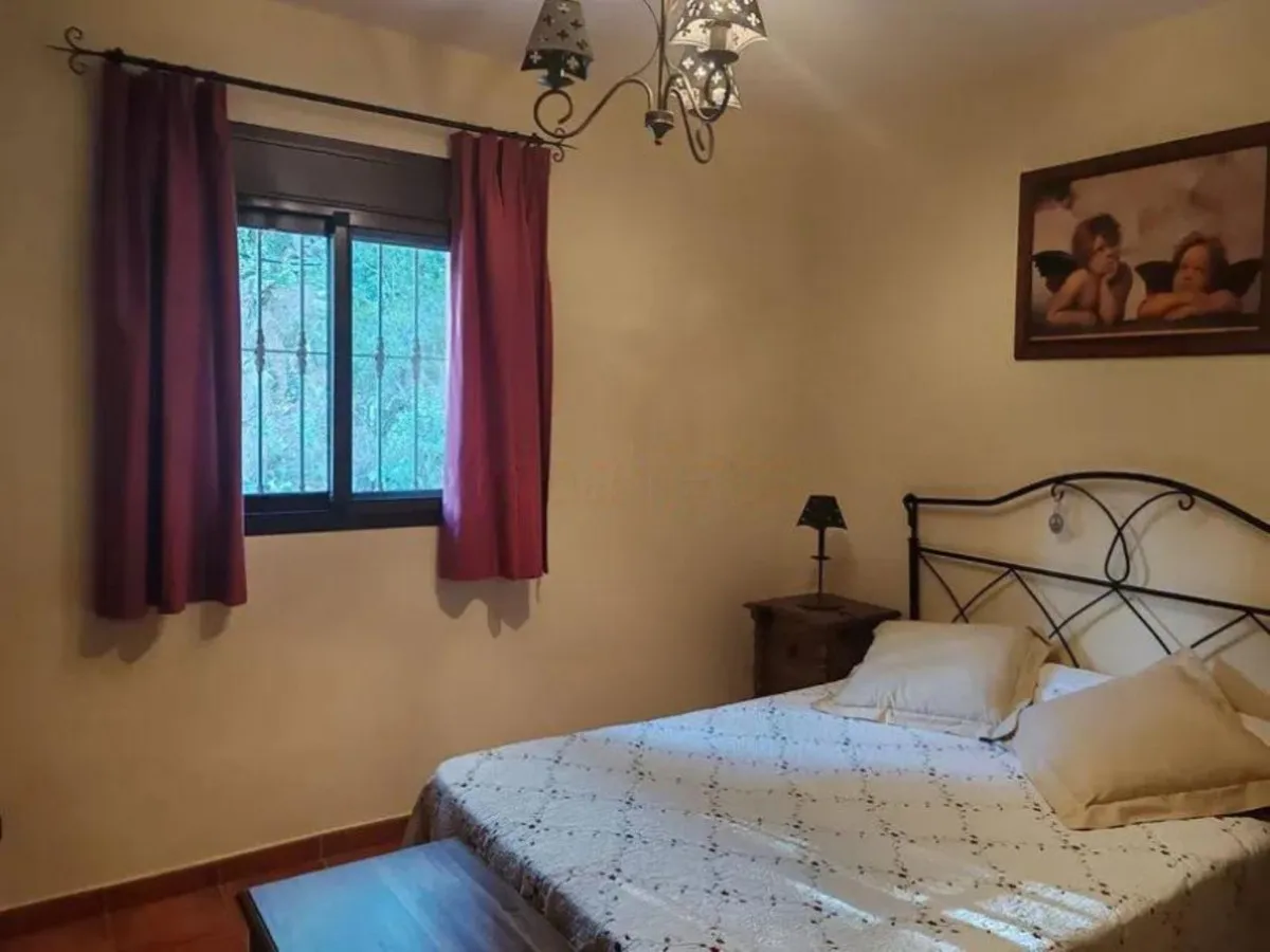 8828969c-c69a-4d99-8d70-f6776bbfbfdc