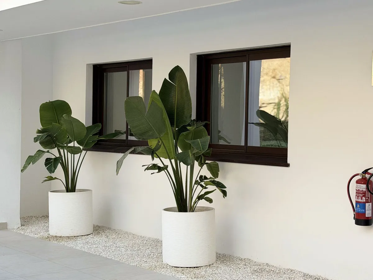 f813f433-e2c9-4ba4-80ed-7e45483315be