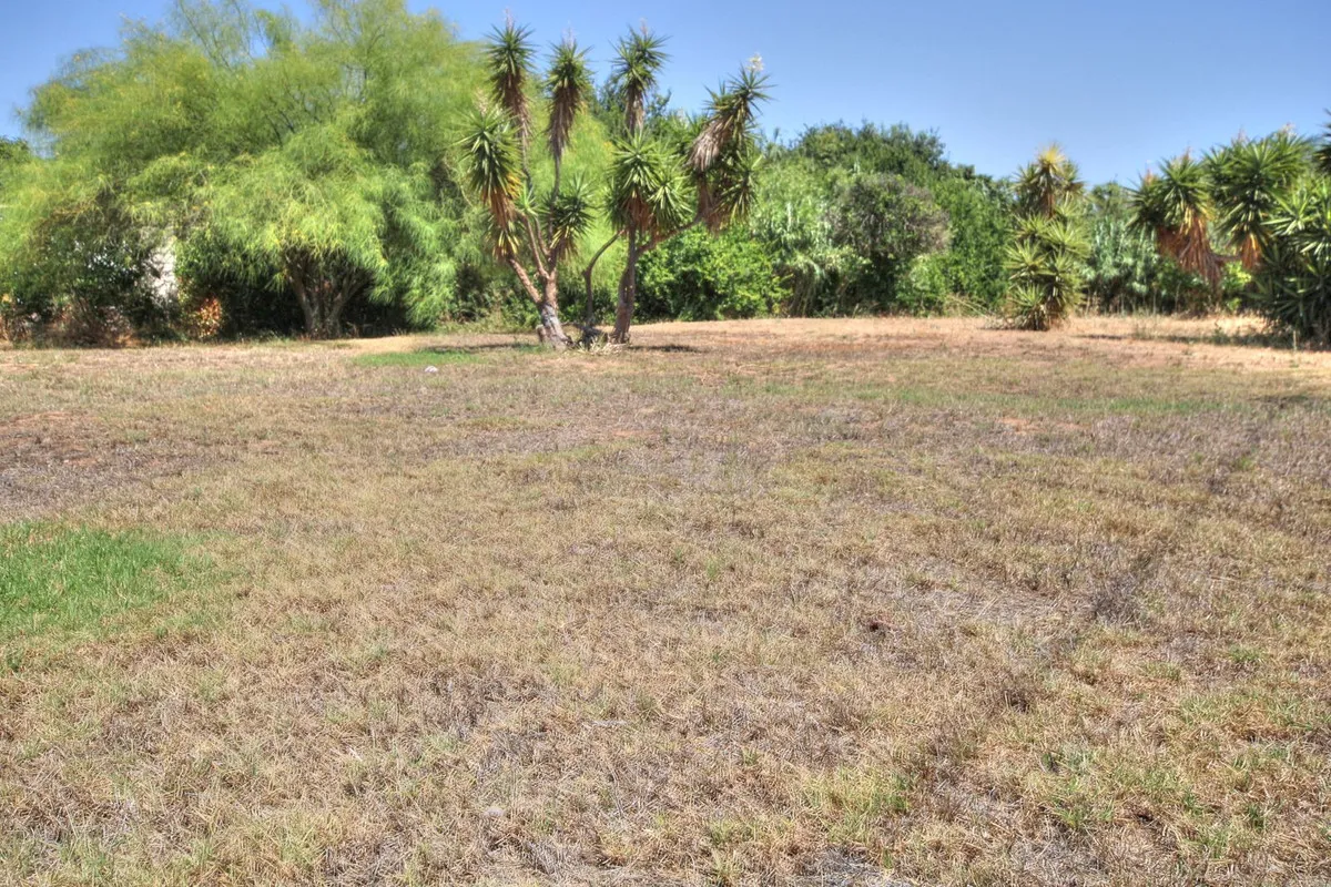 03aee6c3-278d-4fe8-8547-f2914d9404ab