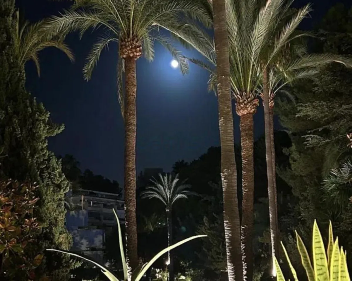 d37702b9-eb5b-4fda-ba61-d08b7f070cd1